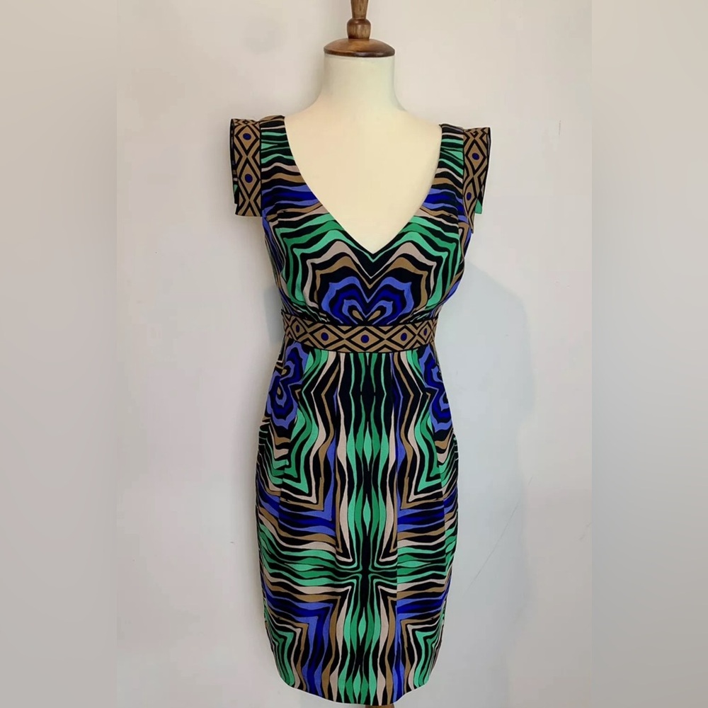 TIBI Zebra Spiral Sheath Dress
Geometric Print Silk Size 4 / Never Worn!